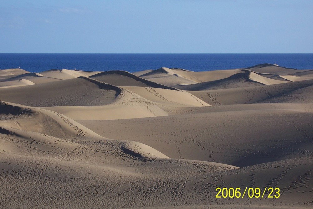 Dünen von Playa del Ingles Gran Canaria