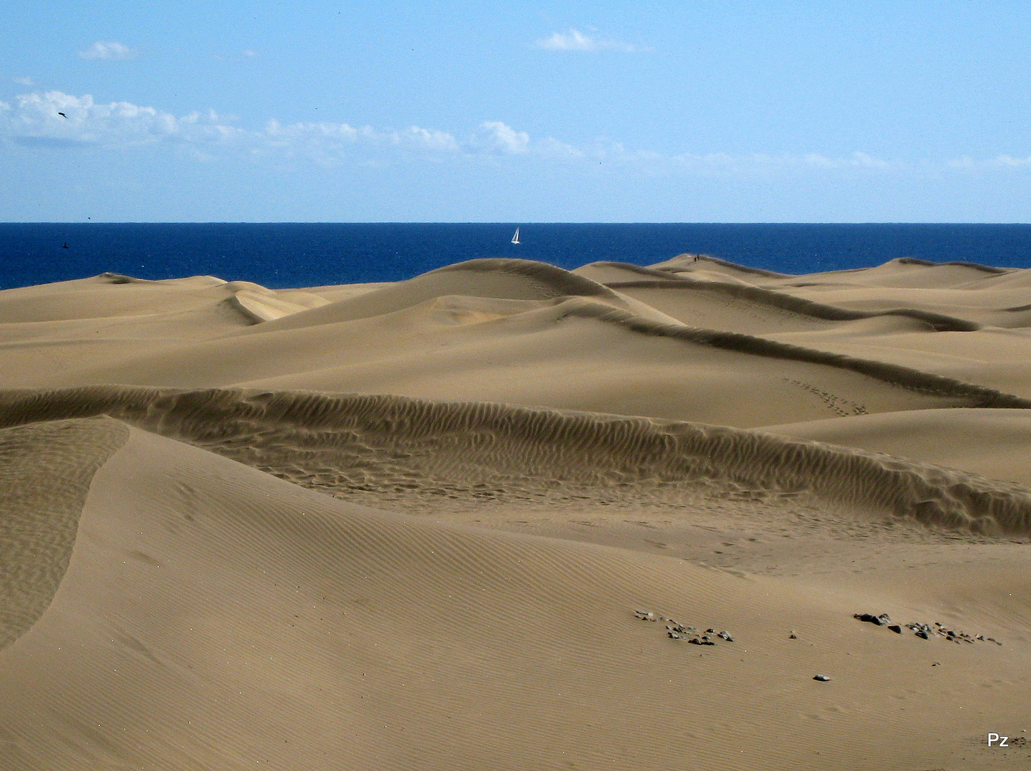 Dünen von Playa del Ingles, Gran Canaria ...