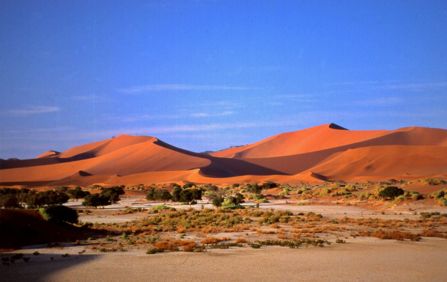 Dünen von Sossusvlei 3