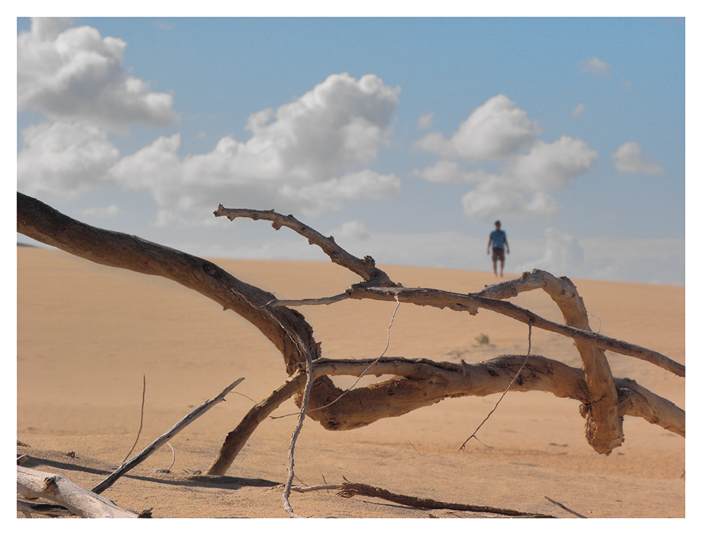 Dünen vor Corralejo/Fuerteventura