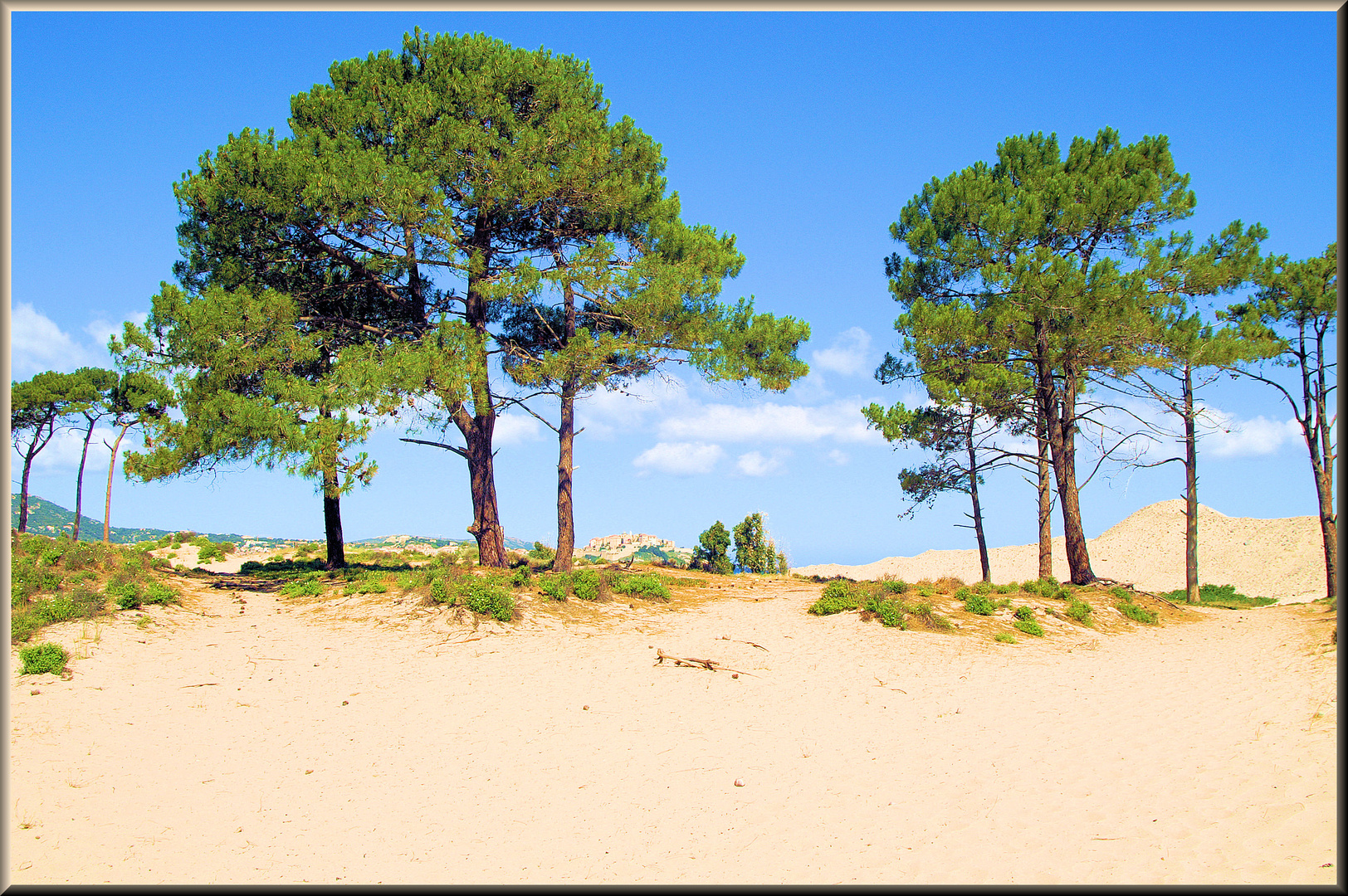 Dünen vor der Citadelle von Calvi