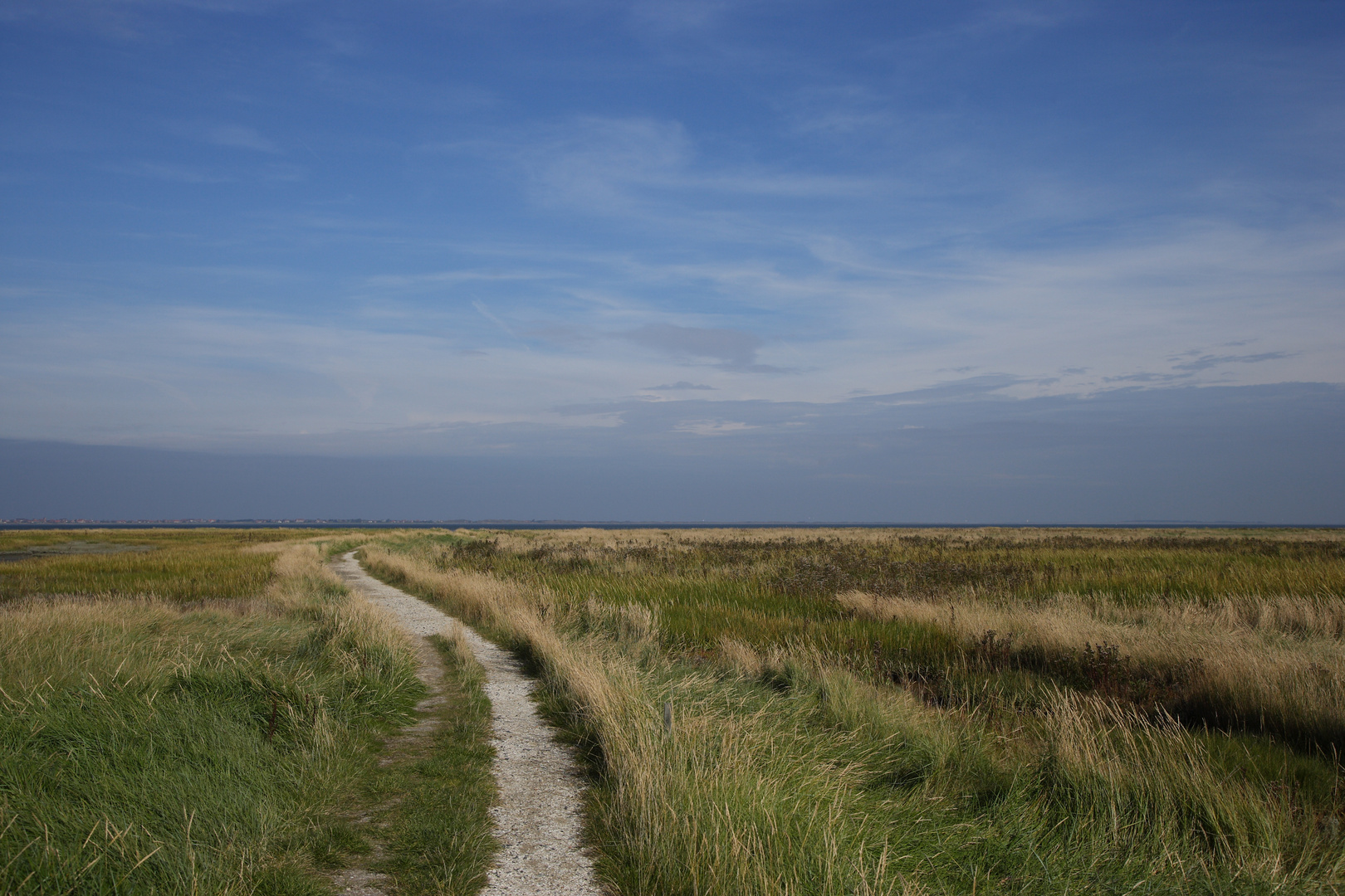 Dünen vor Neßmersiel