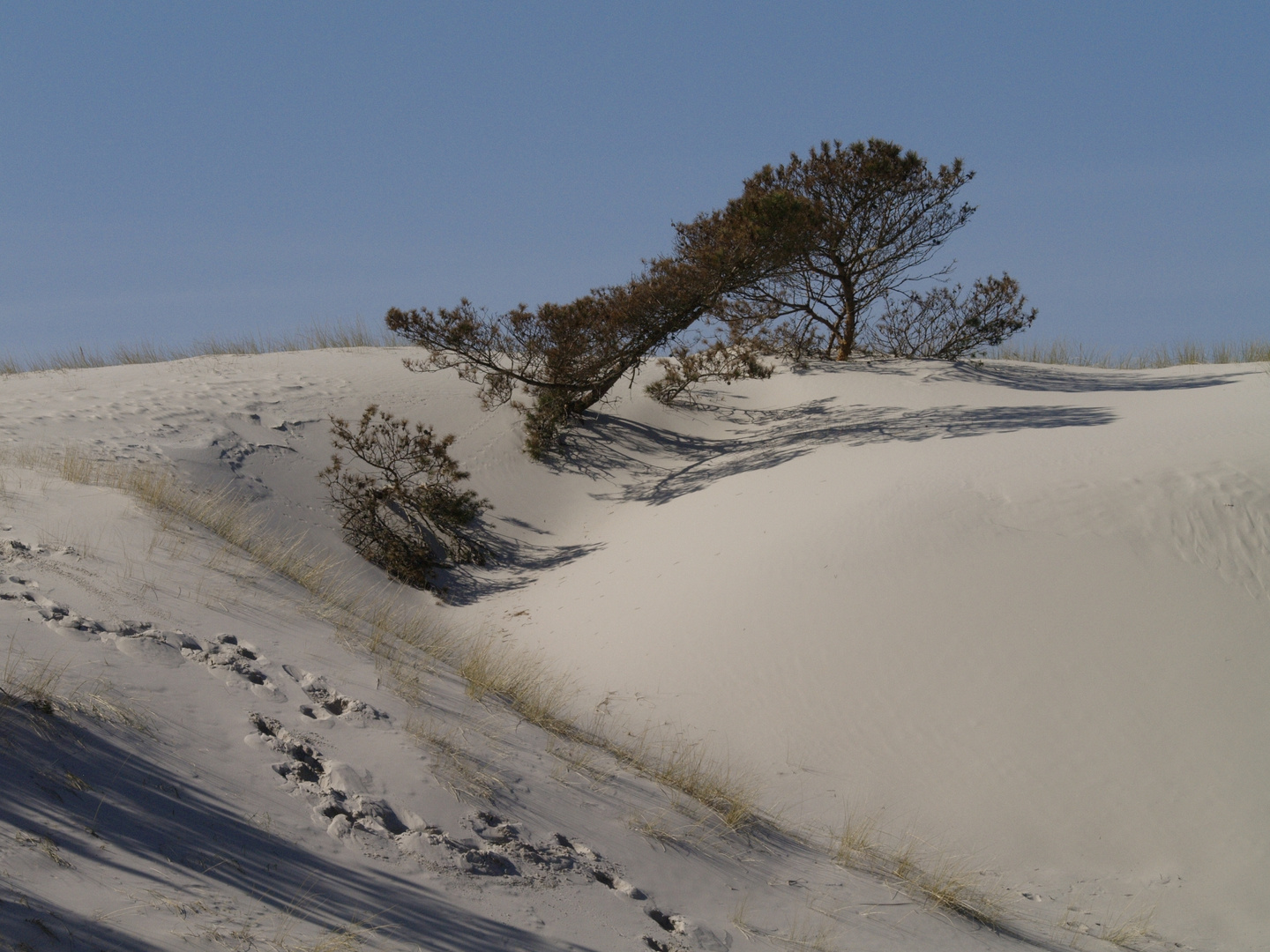 Dünen wie Schnee