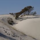 Dünen wie Schnee