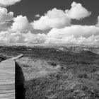 Dünen & Wolken