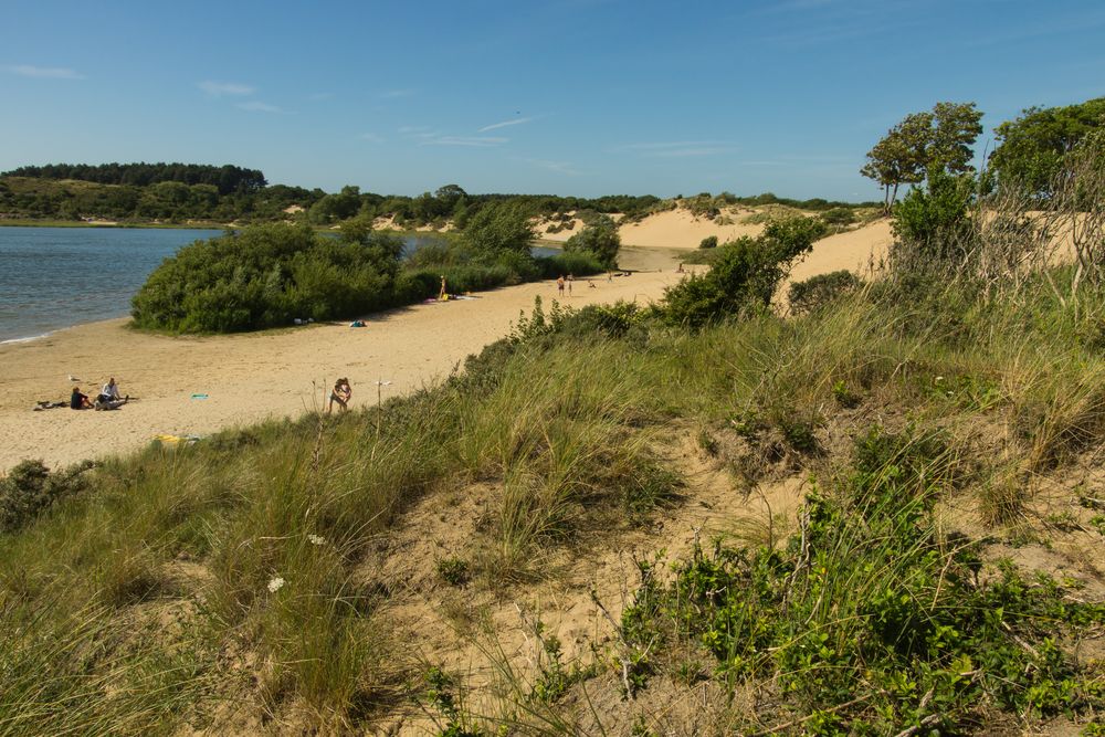 Dünen - Zuid-Kennemerland/Niederlande