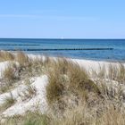 Dünen zwischen Warnemünde und Wilhelmshöhe