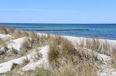 Dünen zwischen Warnemünde und Wilhelmshöhe