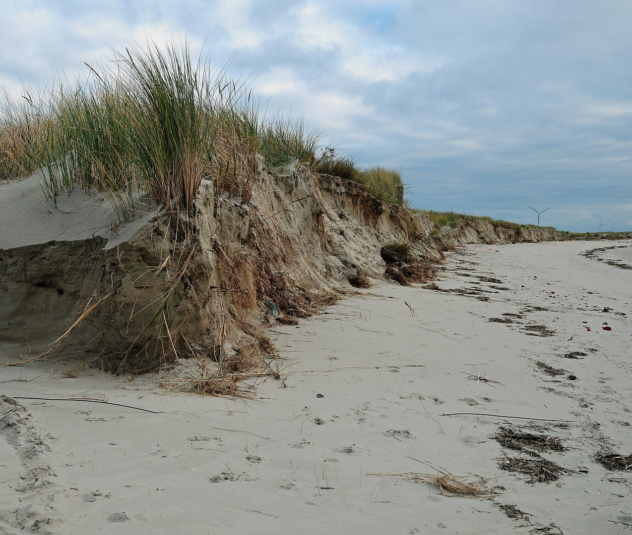 Dünenabbrüche (Borkum, Südstrand)