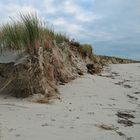 Dünenabbrüche (Borkum, Südstrand)