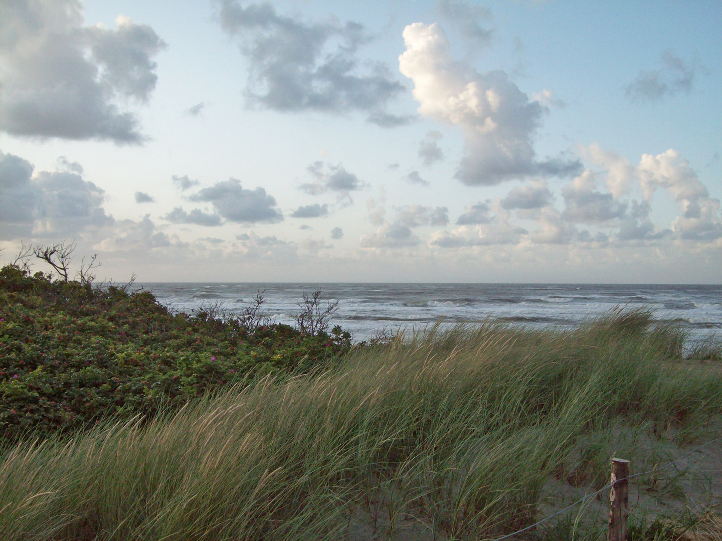 Dünenblick auf die Nordsee