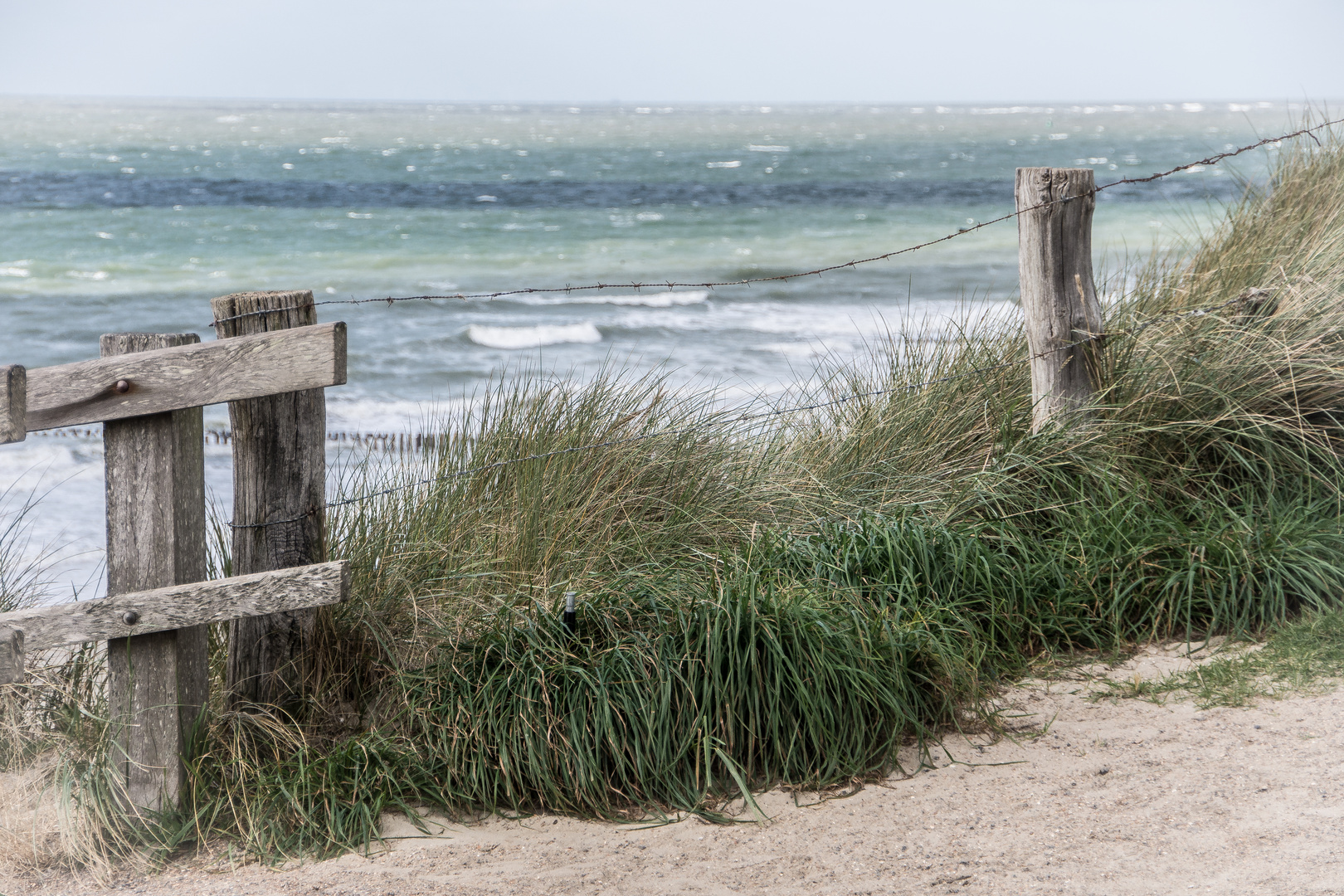 Dünenblick auf die Nordsee