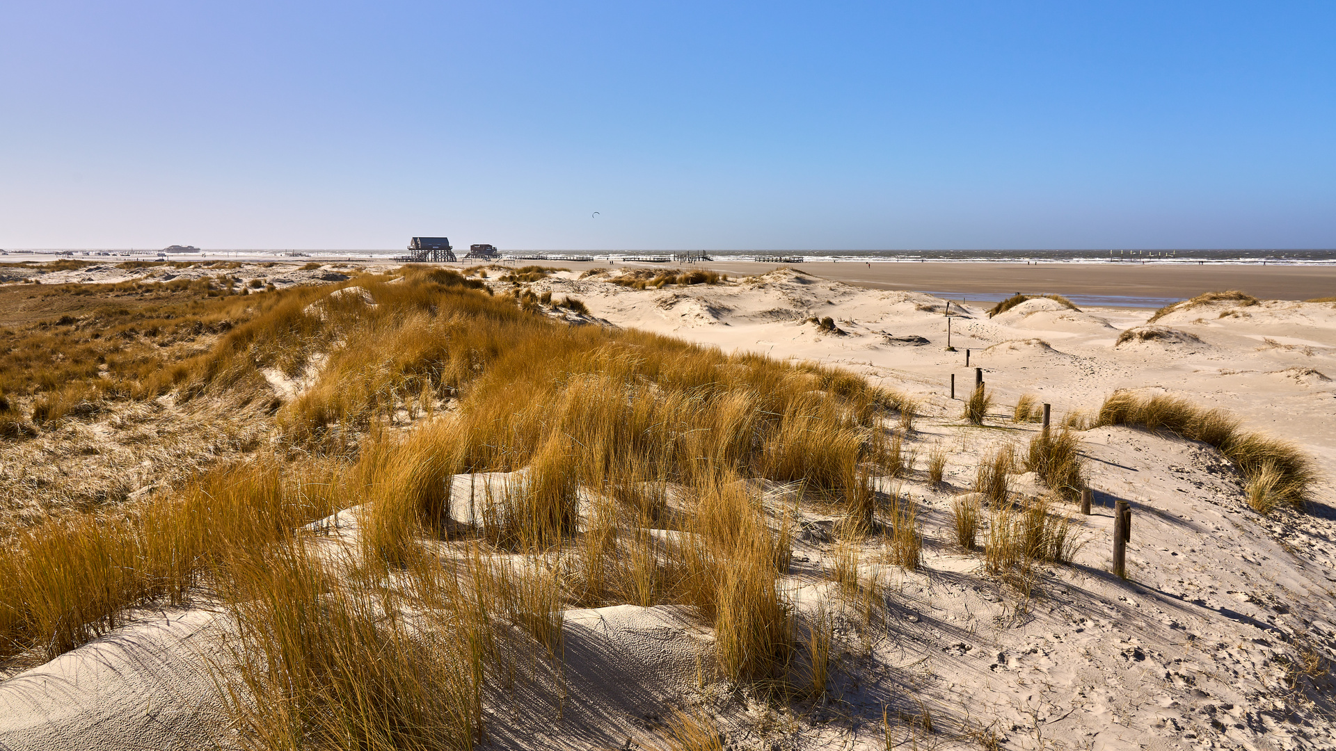 Dünenblick - St. Peter-Ording