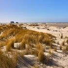 Dünenblick - St. Peter-Ording