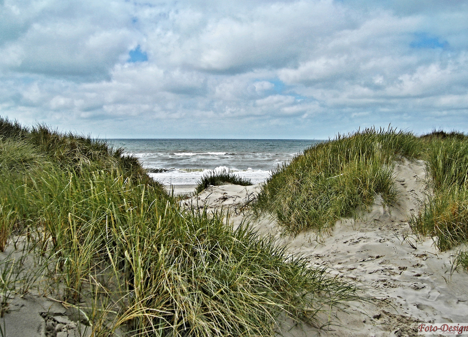 Dünen_Dänemark