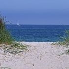 Dünengang zur Ostsee bei Warnemünde