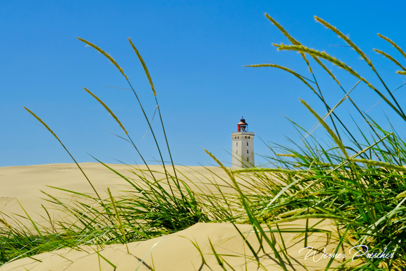 Dünengras mit Leuchtturm