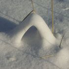 duenengras verschneit