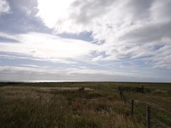 Dünengras vor Wolkenhimmel