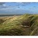 Langeoog