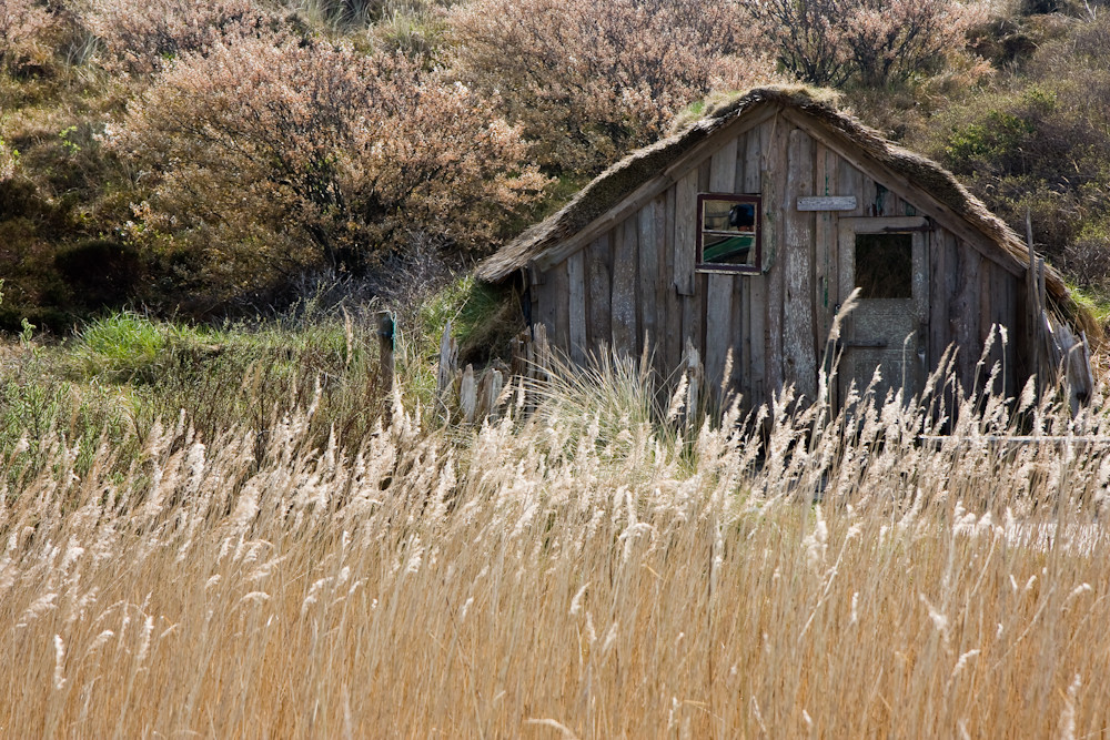 Dünenhütte Texel 2009