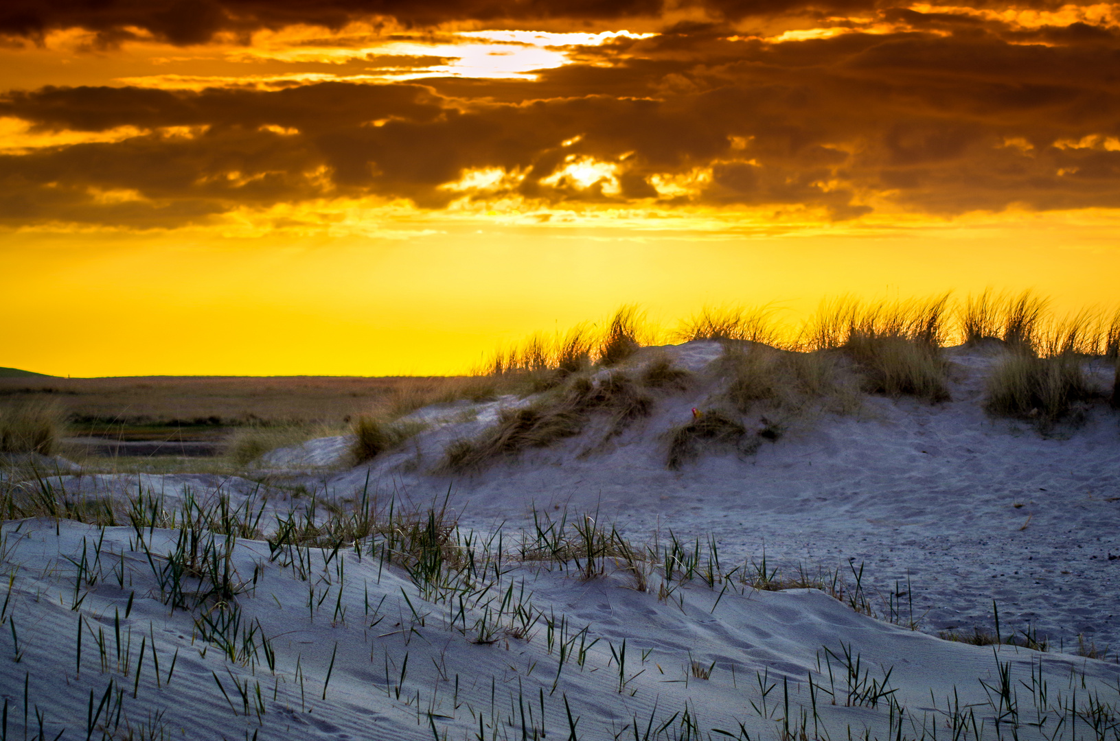 Dünenimpressionen bei Sonnenuntergang