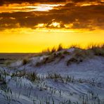 Dünenimpressionen bei Sonnenuntergang