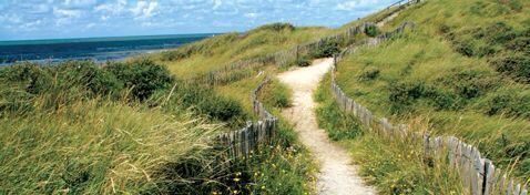 Dünenimpressionen  (NL Egmond an Zee)