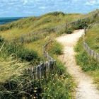 Dünenimpressionen  (NL Egmond an Zee)