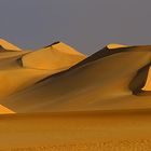 Dünenkämme im Grossen Sandmeer