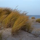 Dünenkamm auf Sylt zu Neujahr