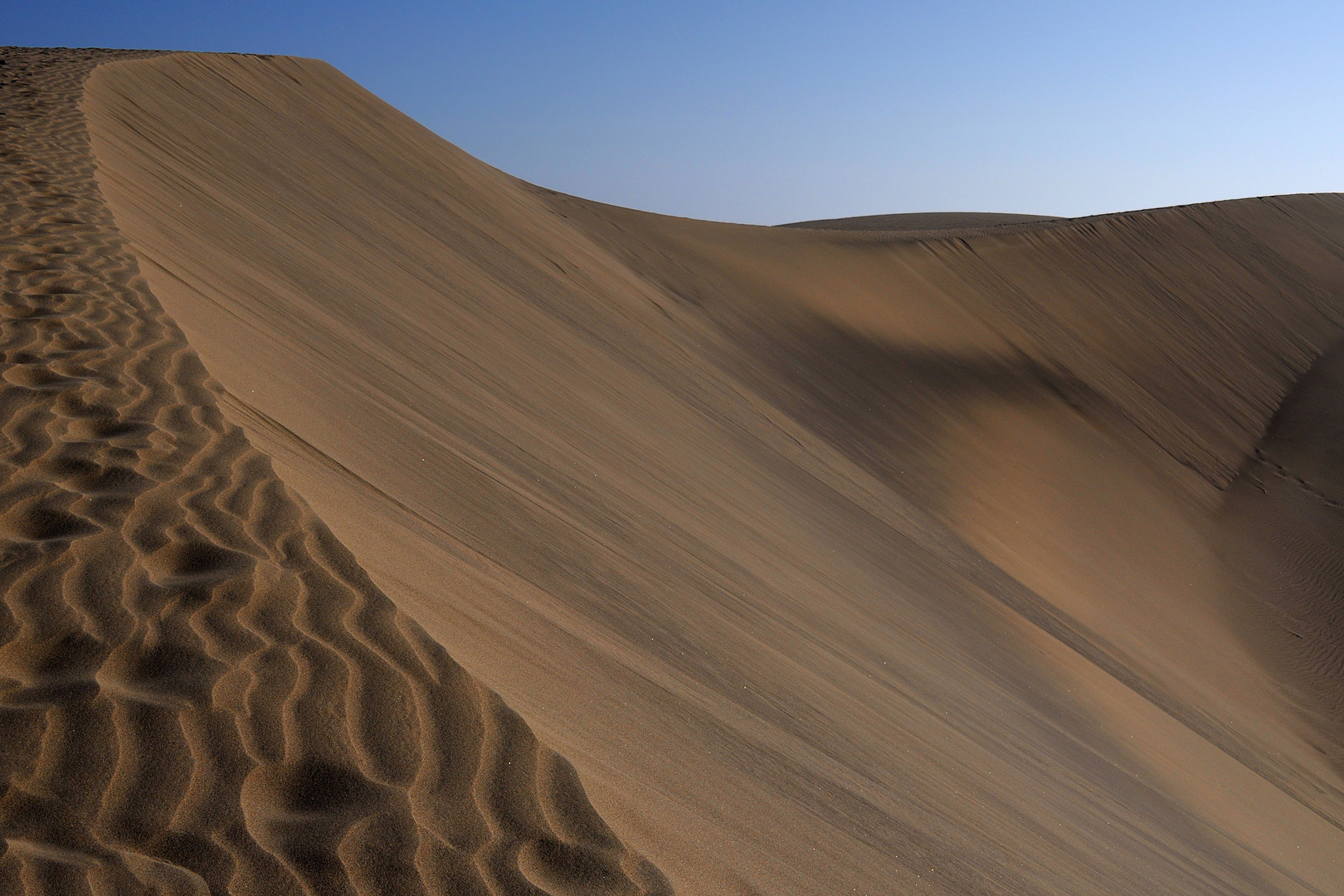 Dünenkamm - Maspalomas