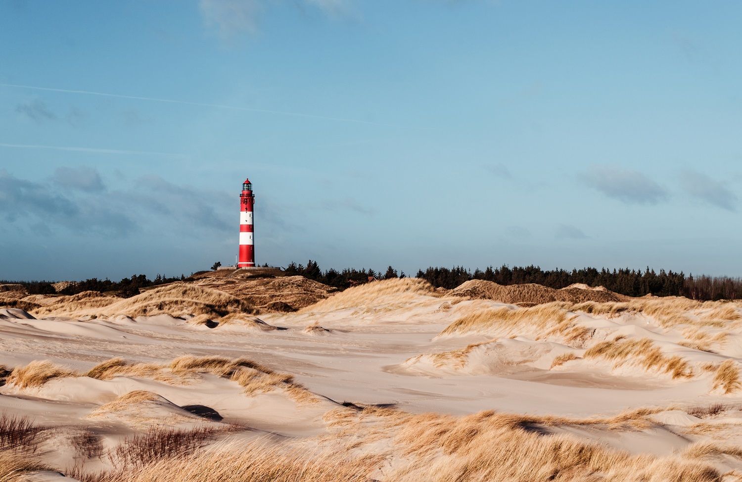 Dünenland Amrum