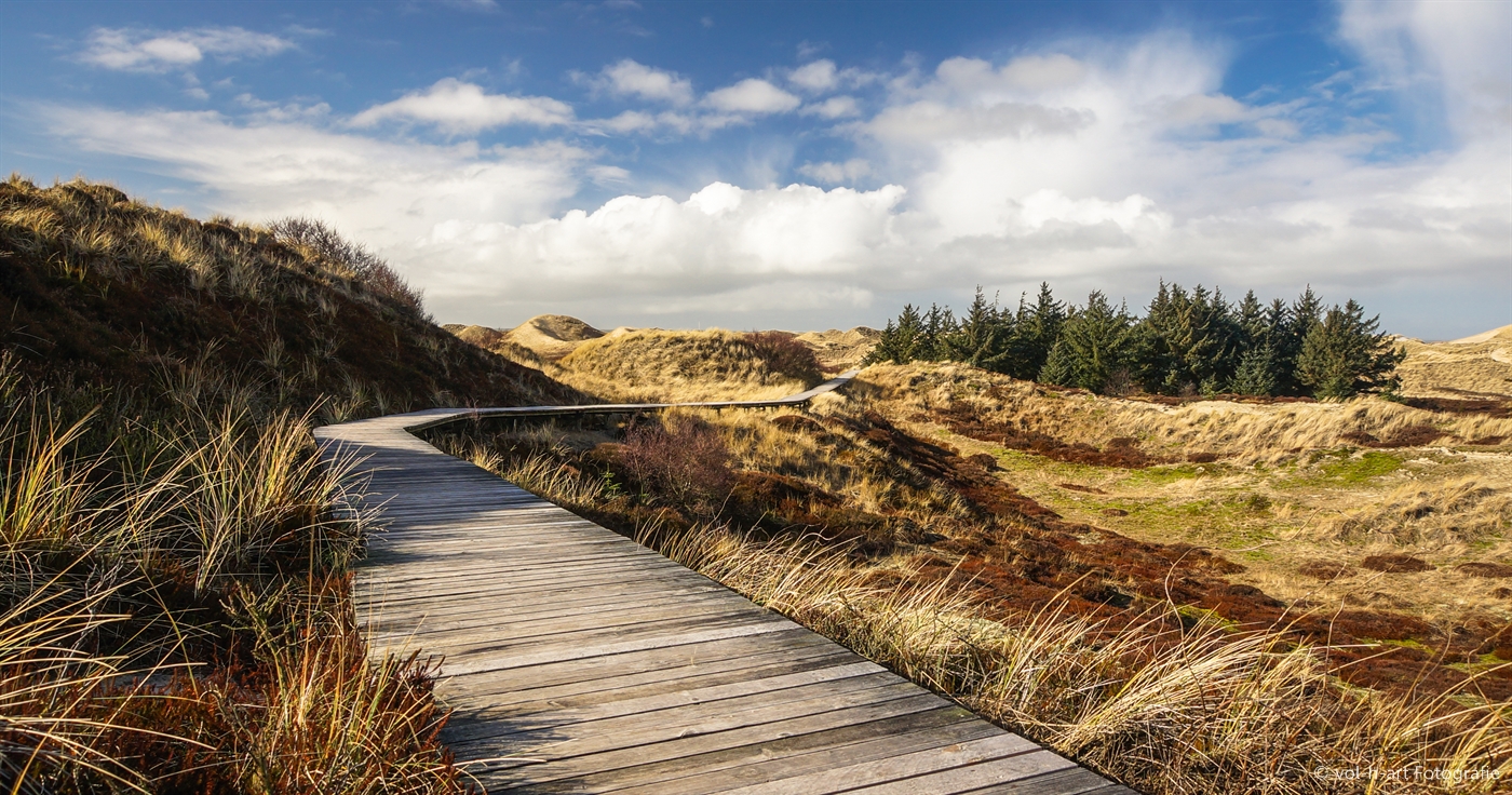 Dünenland - Amrum