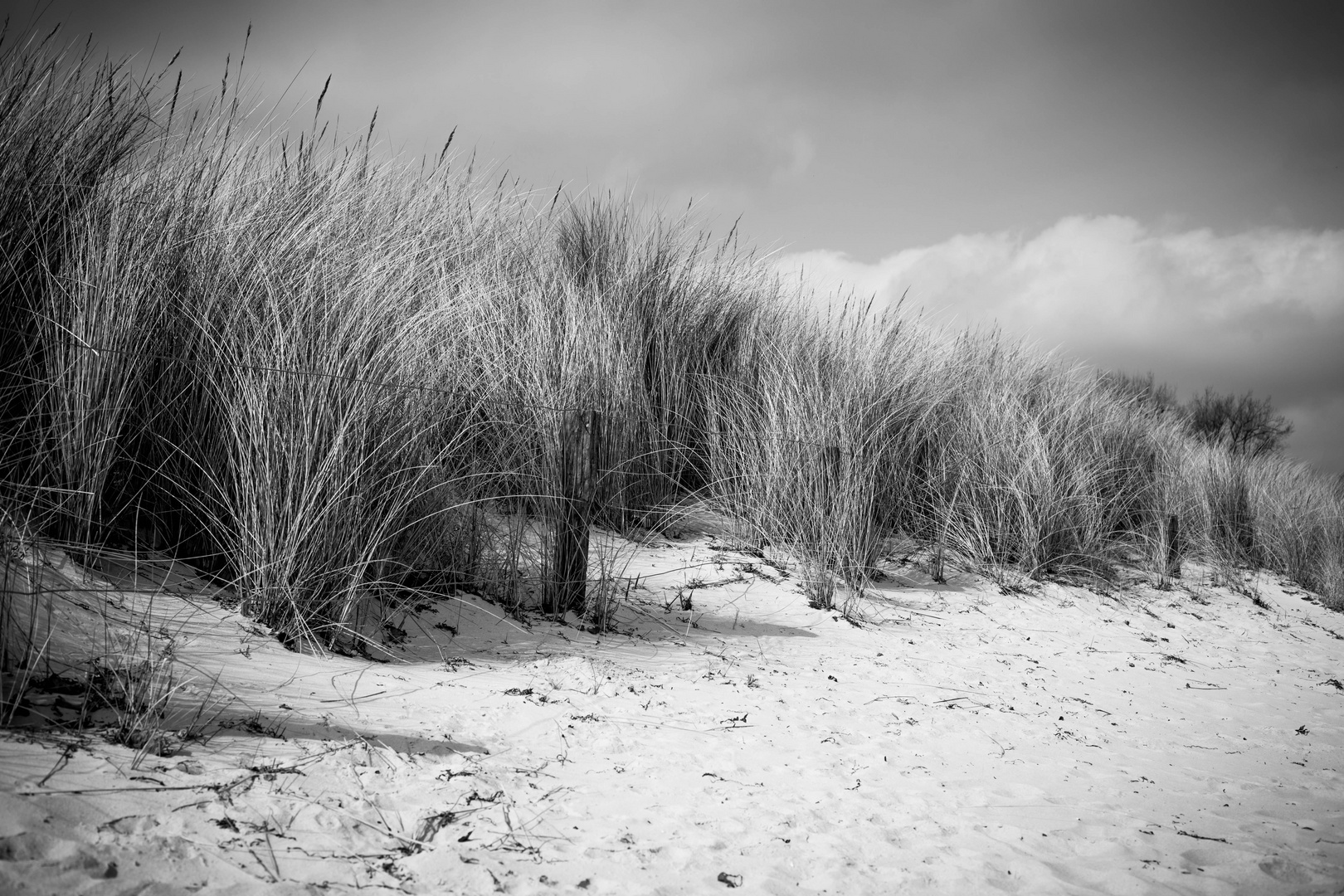 Dünenlandschaft