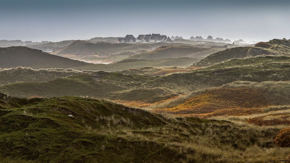 Dünenlandschaft ...