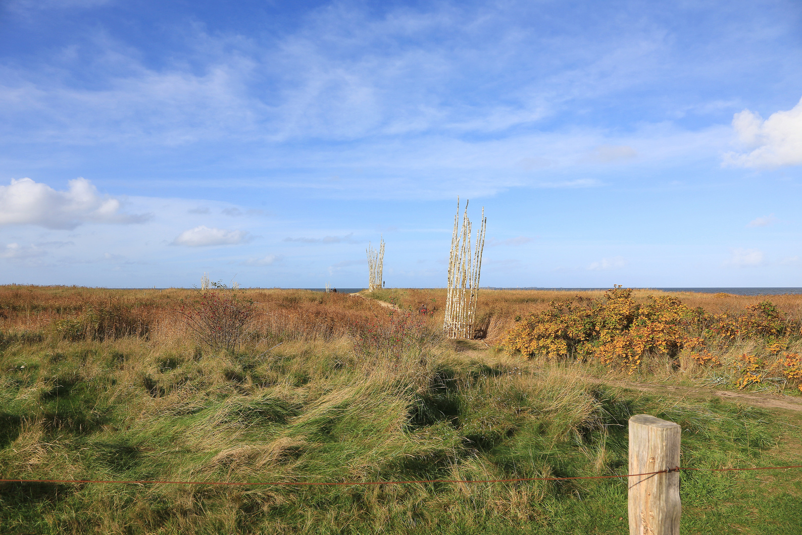 dünenlandschaft