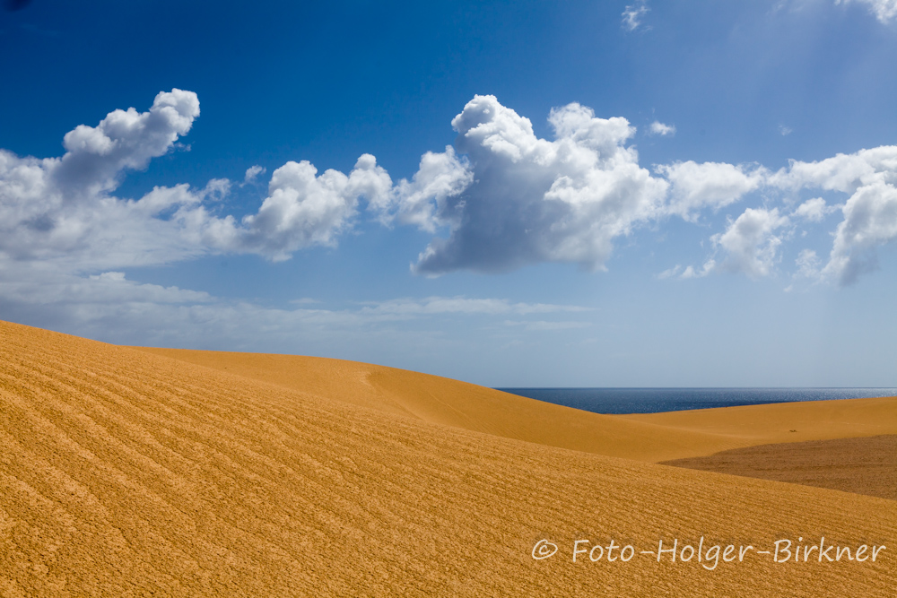 Dünenlandschaft