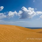 Dünenlandschaft