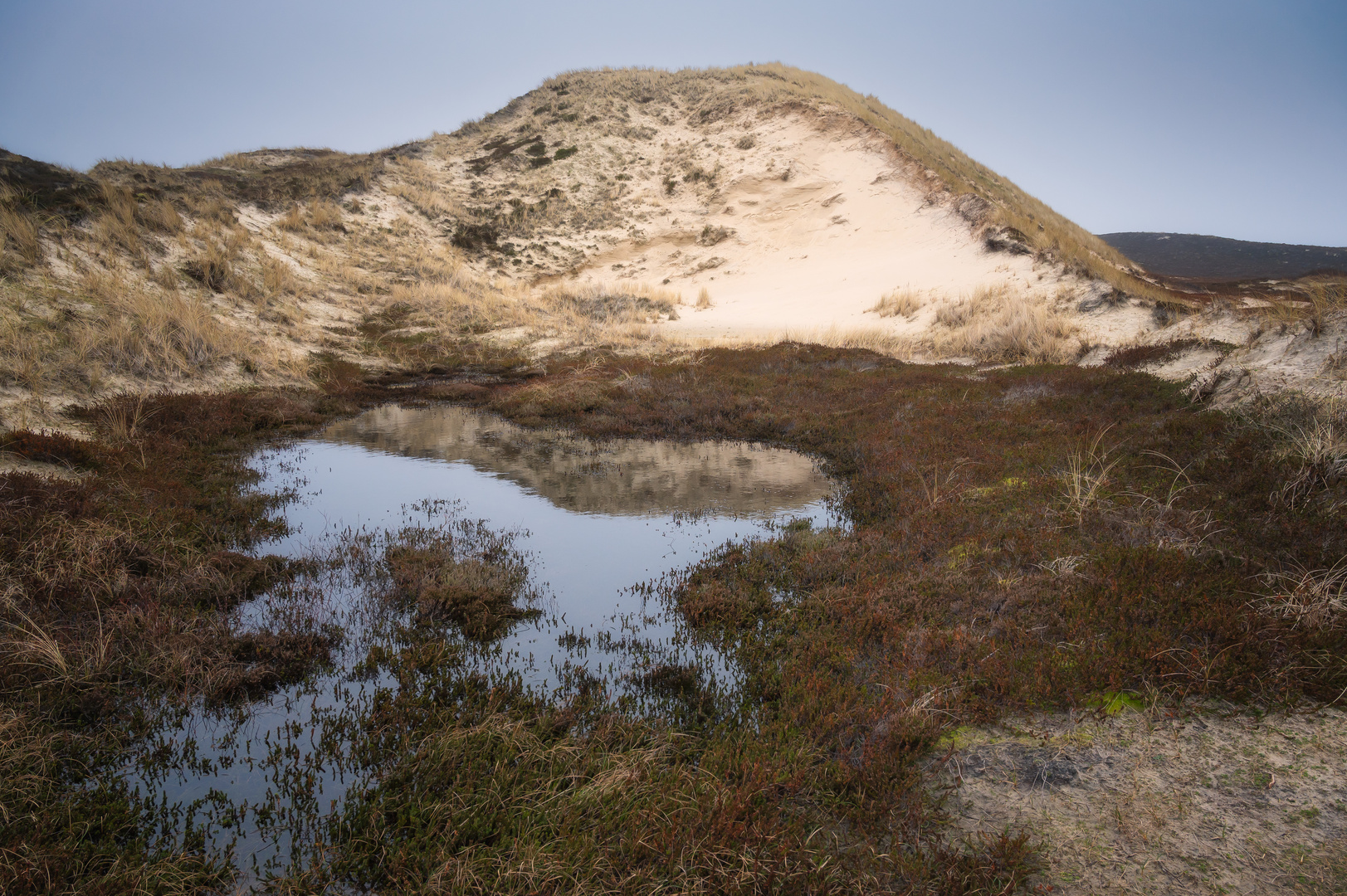 Dünenlandschaft