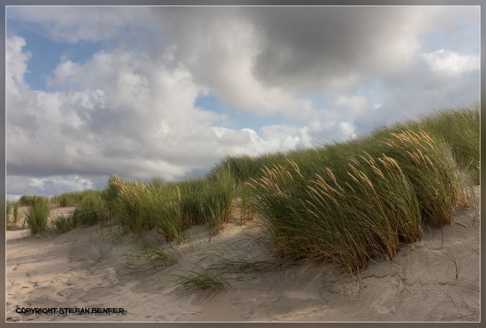 Dünenlandschaft 1