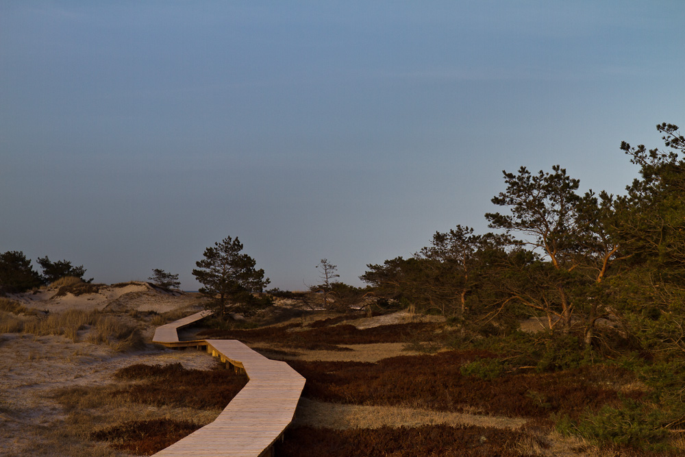 Dünenlandschaft