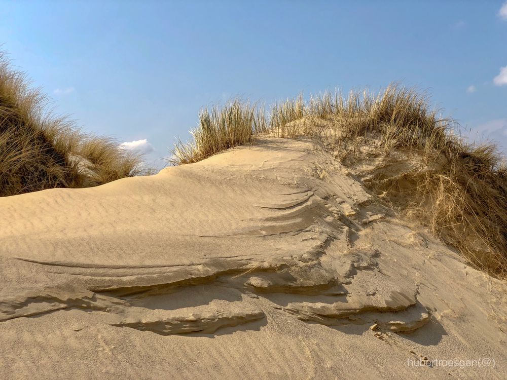 DÜNENLANDSCHAFT Foto & Bild | landschaft, meer & strand, dünen Bilder