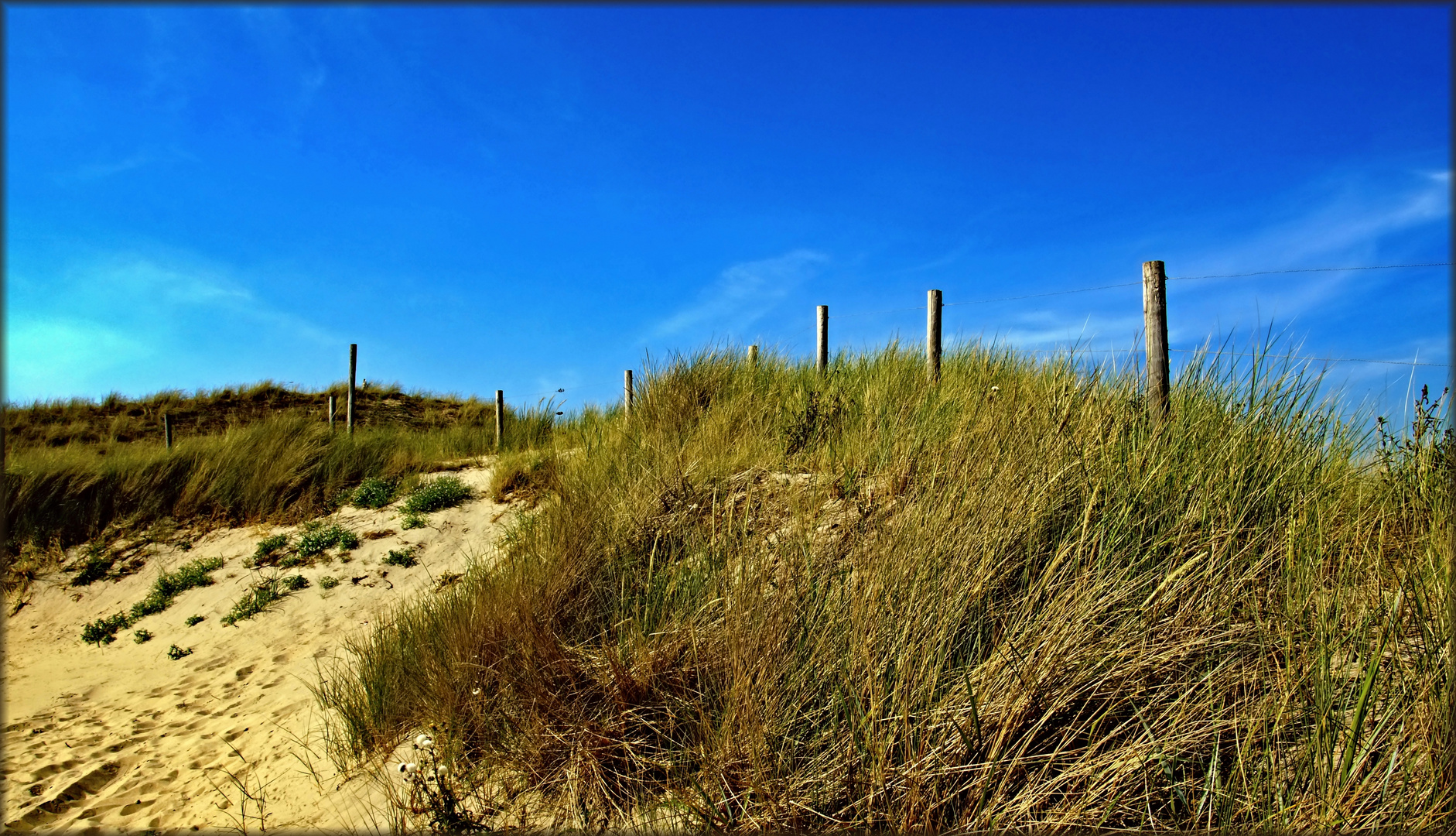 Dünenlandschaft