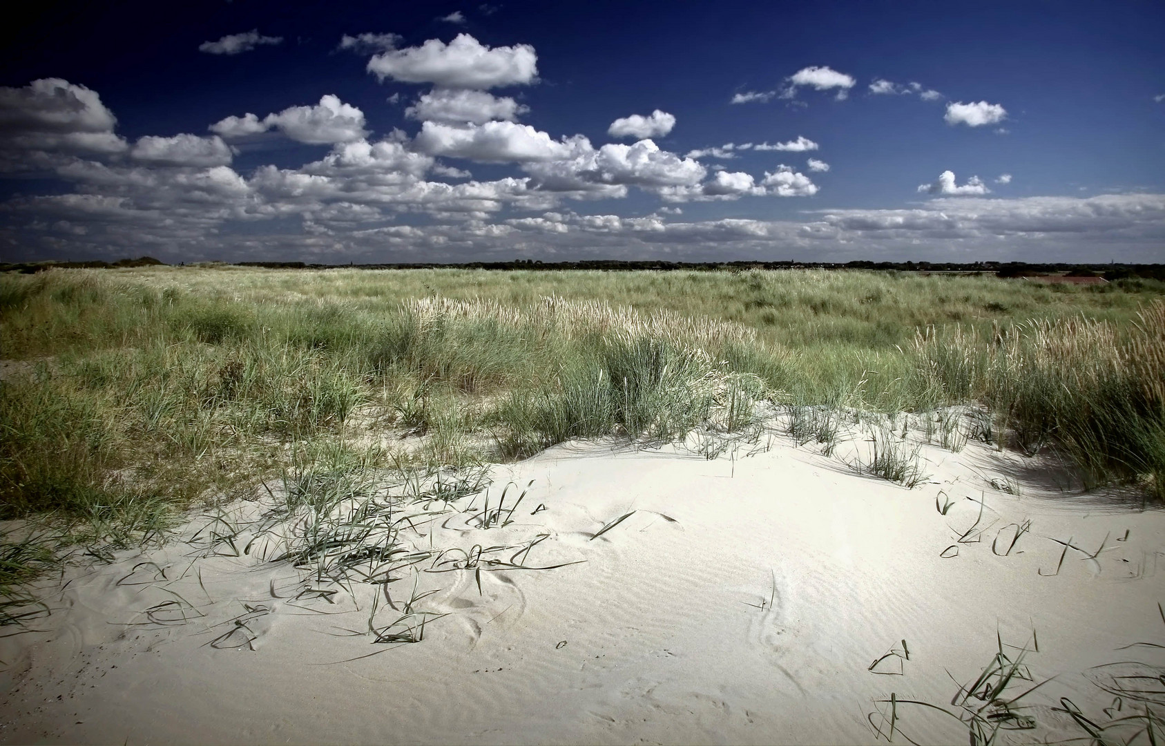 Dünenlandschaft (2)