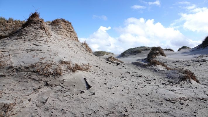 Dünenlandschaft