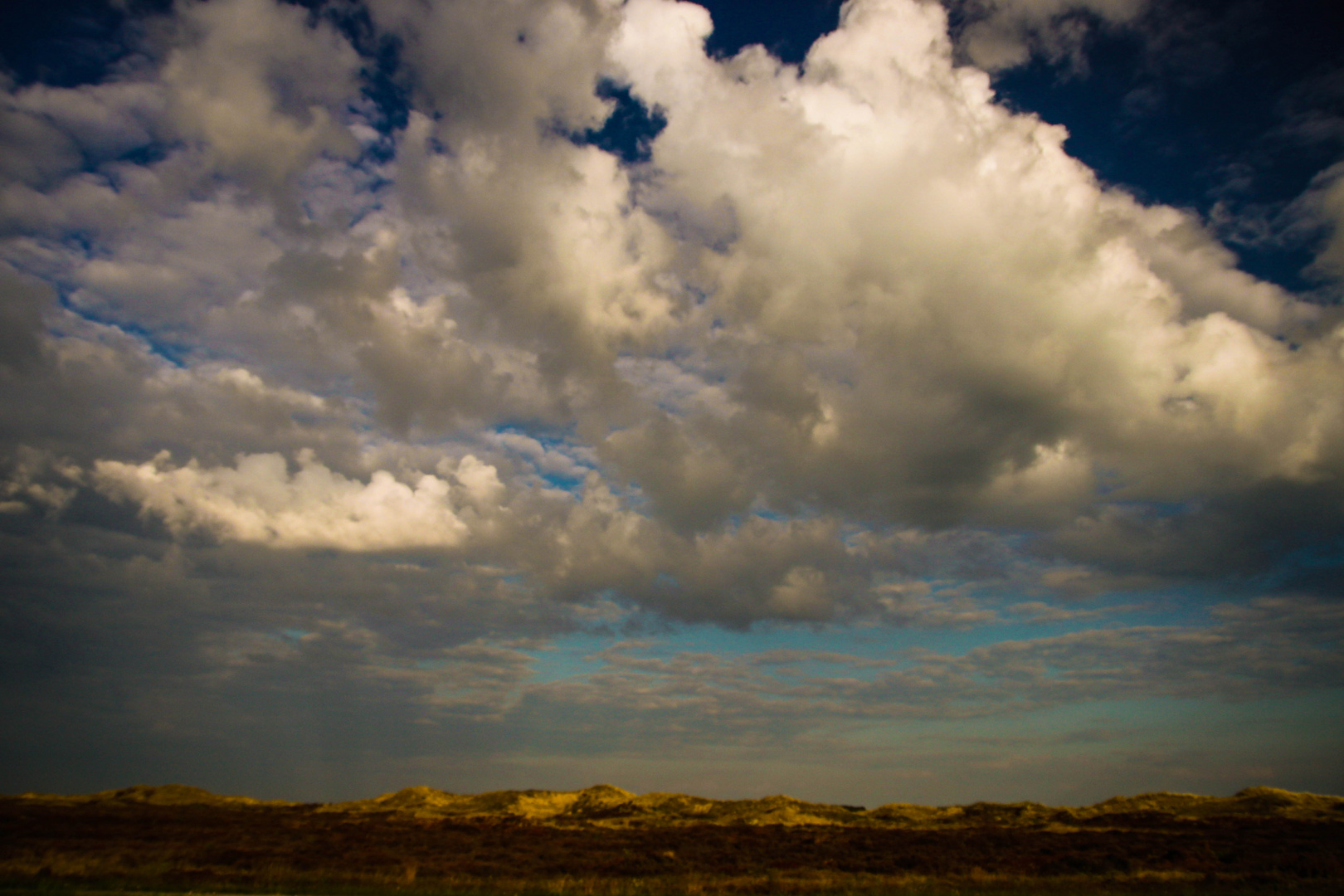 Dünenlandschaft