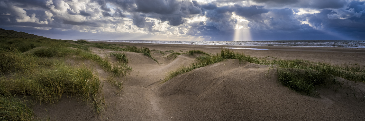 Dünenlandschaft