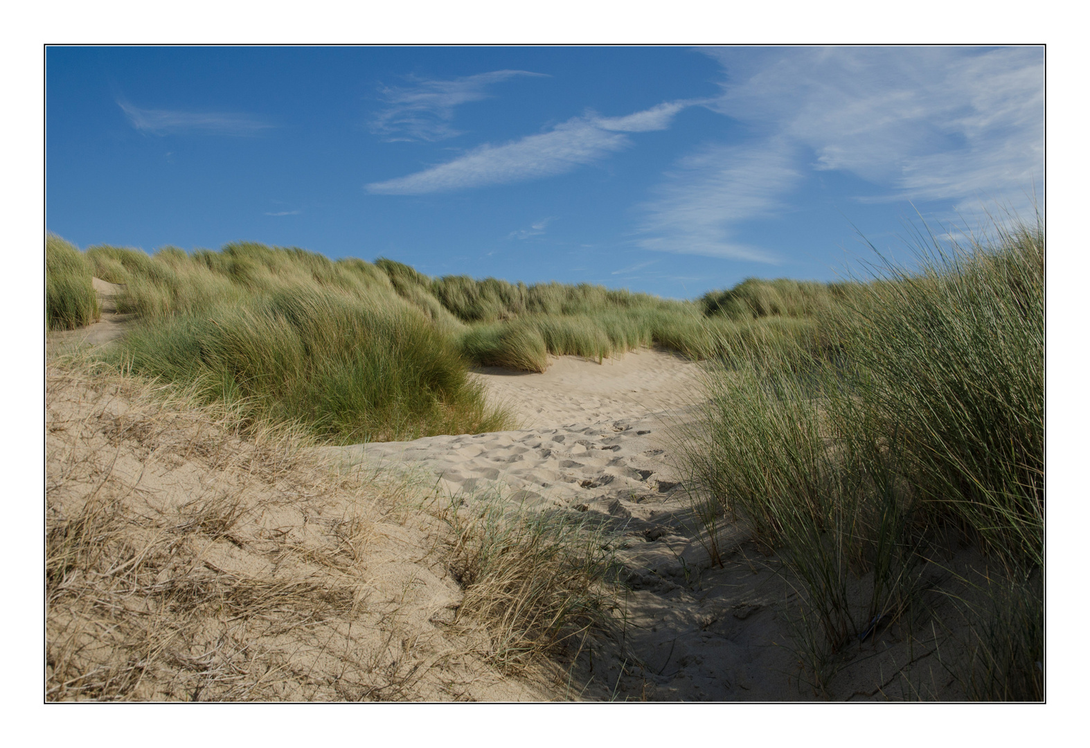 Dünenlandschaft