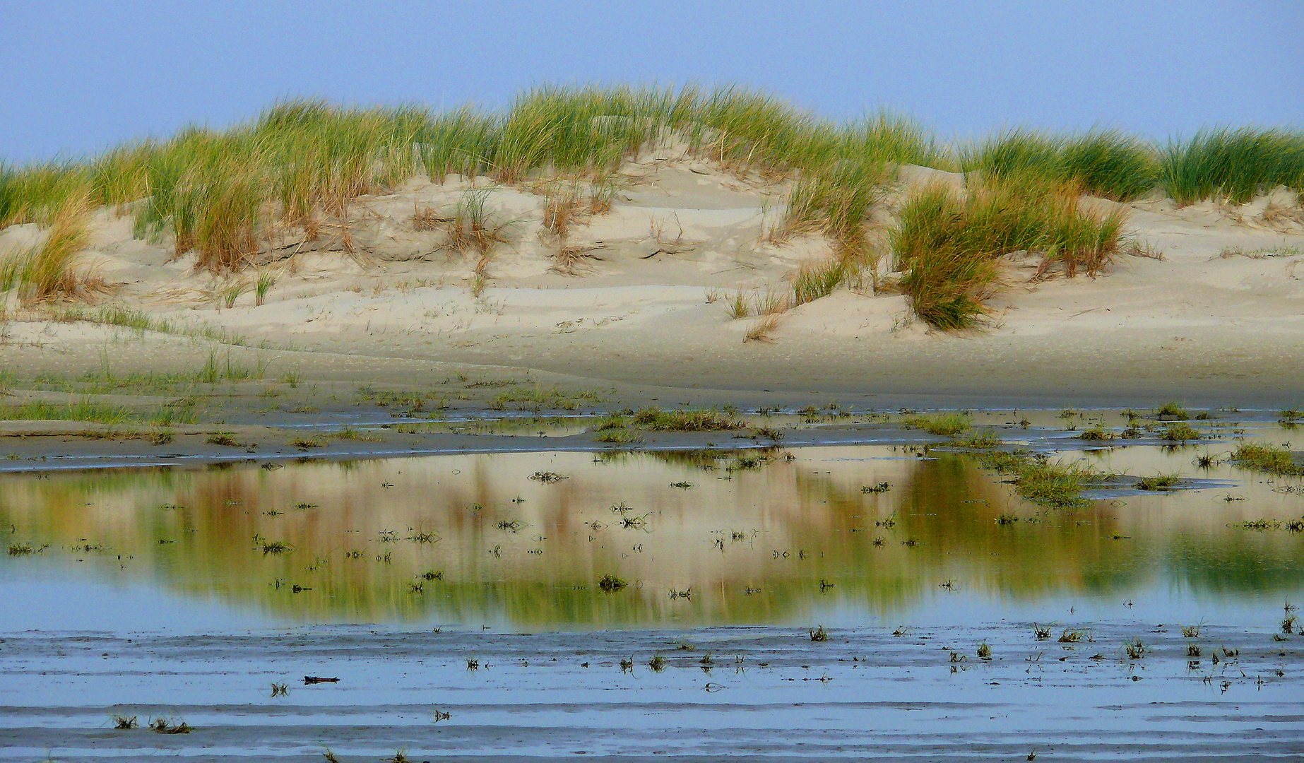 Dünenlandschaft